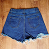 Denim High Rise Shorts - denim shorts