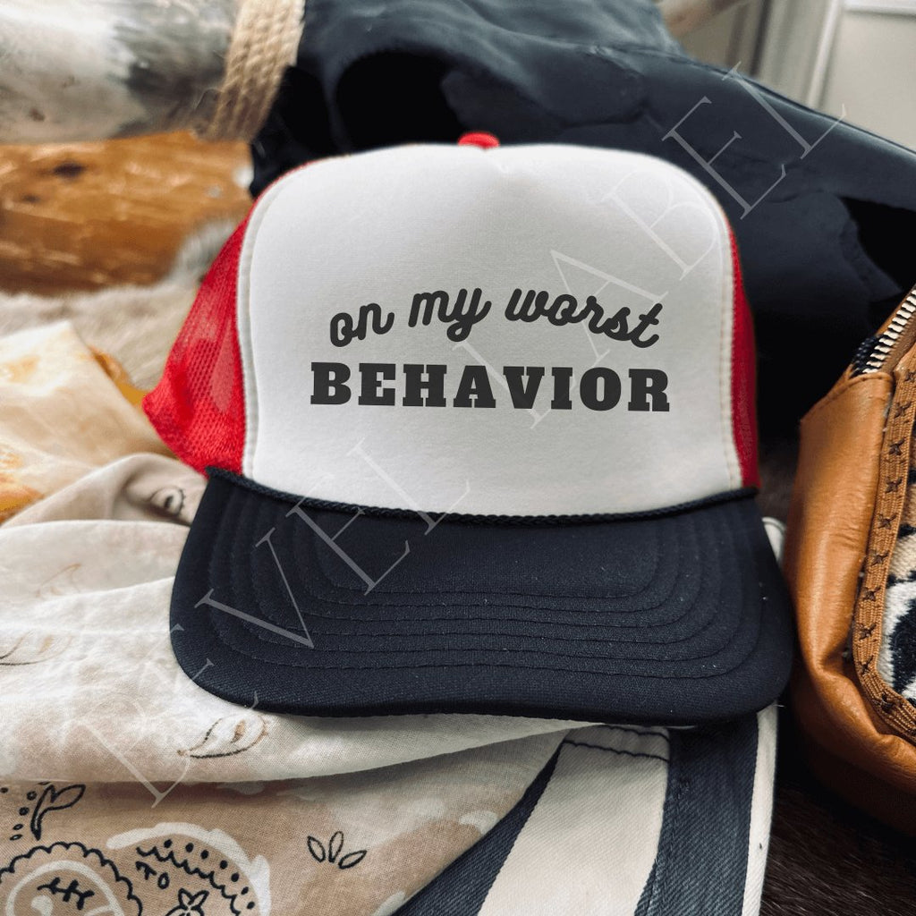 Worst behavior trucker !